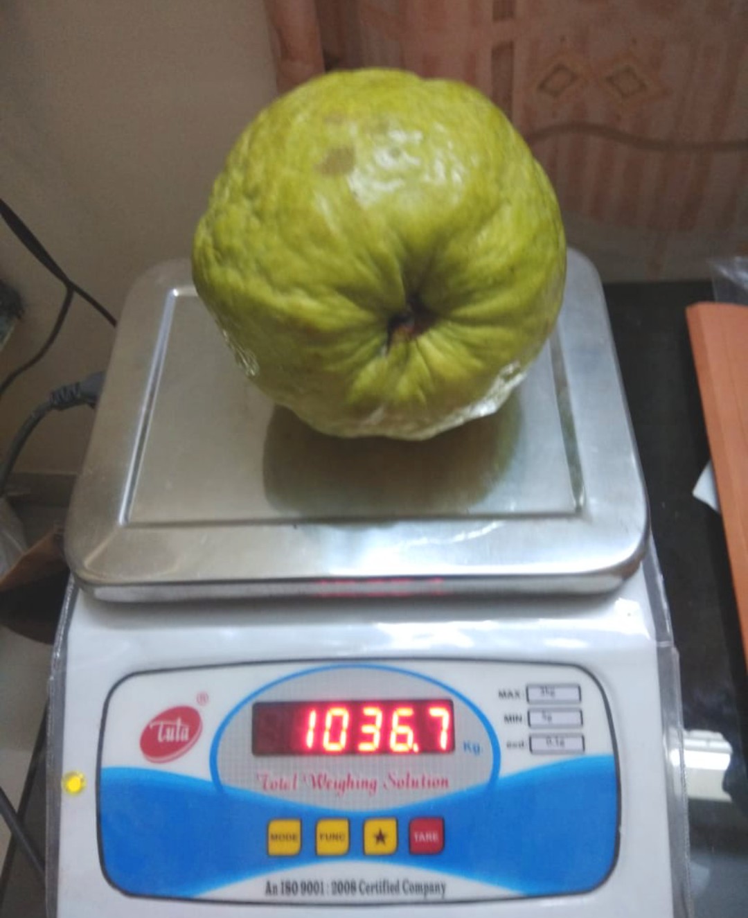 449